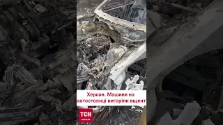 😢 Їздила на море та в зоопарк: 8-річна Дарʼя біля згорілої машини в результаті обстрілу Херсону