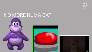 BONZIBUDDY KILLS NUMA CAT!! NO NUMA CAT! YES MY LIFE IS A PARTY! 😡😡😡😡😡😡😡😡😡😡😡😡😡😡😡😡😡😡😡😡😡😡😡😡😡😡😡😡😡😡😡😡😡😡😡