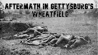 On Tour - Battlefield Medicine in Gettysburg's Wheatfield