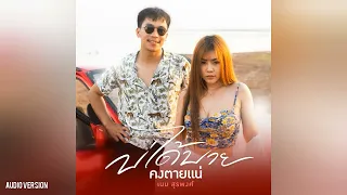 บ่ได้บายคงตายแน่​ | เนม​ สุรพงศ์​【AUDIO VERSION】