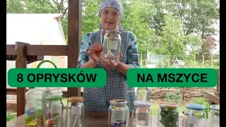 8 OPRYSKÓW NA MSZYCE