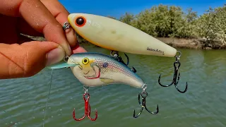 PESCA de PARGOS y RÓBALOS con SEÑUELOS MINNOW || POPPER || PASEANTES.