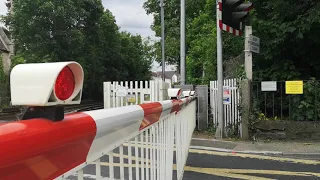 GBRF New alarm Aylesford Village level crossing - 66709 - 3 tone