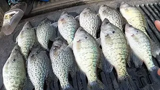 CRAPPIE Fishing From The BANK After A SPRING COLD FRONT 🥶 Good Or BAD‼️