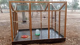 Creative Diy Wild Bird Trap Using Pen Bird Catch Bird