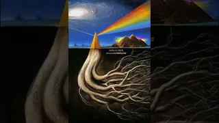 Pink Floyd - Embryo (With Lyrics)