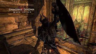 Dragon's Dogma Dark Arisen - Chaos Armor Set