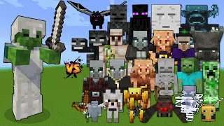 Zombie with Iron Armor & Iron Sword vs Every mob in Minecraft - Zombie with Iron Armor vs All mobs