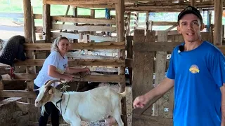 ELES TRABALHAM EM FAMÍLIA E PRODUZEM DE TUDO NO SÍTIO