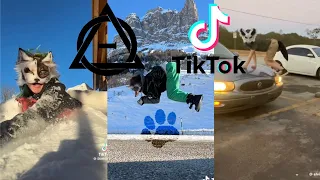 Therian and Quadrobics TikToks || Compilation 🐾🪱🪲|| Alterhumans of TikTok #84