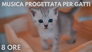 #120🐱 8 ore 🐱 Musica progettata per gatti 🐱Musica Rilassante Per Gatti per calmarsi il dormire