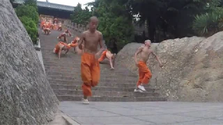 A Shaolin Quan Journey Part 1