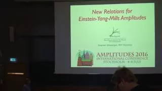 Stephan Stieberger "New Relations for Einstein-Yang-Mills Amplitudes"