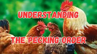 Understanding the Pecking Order in Thai Society: Insights into a Complex Hierarchy