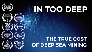 In Too Deep (Spanish subtitles)