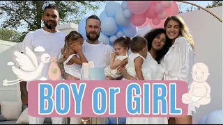 GENDER REVEAL PARTY für Freunde 💙💗 Team Harrison