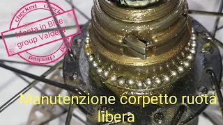 Manutenzione corpetto ruota libera Mtb.