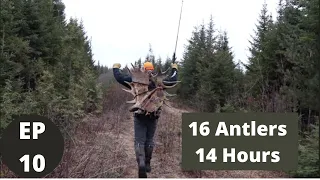 16 Moose Antlers in One Day!  EP 10 | Moose Shed Hunting 2022