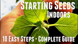 How to Start Seeds Indoors - 10 Easy Steps - Seed Starting Guide for Beginners | Organic Gardening