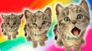 ADVENTURE OF A LITTLE KITTEN cartoon about kittens cartoon for kids and toddlers cartoons on #423