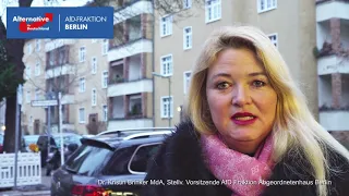 Dr. Kristin Brinker (AfD) kritisiert Skandalverhalten von Grünen-Stadtrat Schmidt.