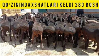 ARZONCHI AKADAN DAXSHAT QOʻZILAR KELDI SHOSHILAMIZ SONI