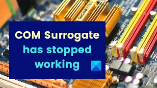 Program exe or COM Surrogate has stopped working error in Windows 11/10