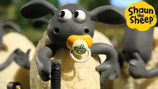 Shaun the Sheep 🐑 Timmy gets a job - Cartoons for Kids 🐑 Full Episodes Compilation [1 hour]