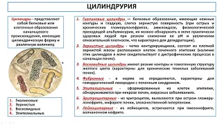 Синдромы при заболеваниях почек