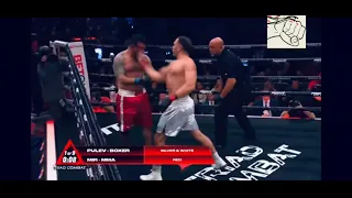 Frank Mir Hilarious Knockout Loss