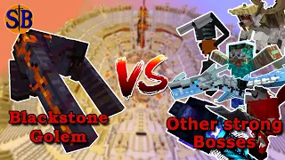 Blackstone Golem vs Strong Bosses | Minecraft Mob Battle