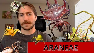 Araneae: The Spiders - Order Spotlight