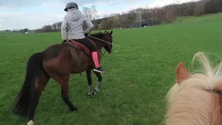 Im Wald springen?! | Paola, Smarty & Inka ❤️ | Marina und die Ponys