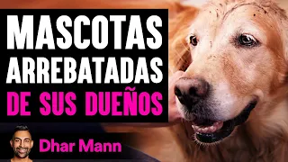 Mascotas Arrebatadas DE SUS DUEÑOS | Dhar Mann