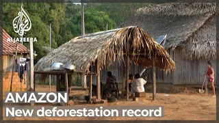 Brazil sets ‘worrying’ new Amazon deforestation record
