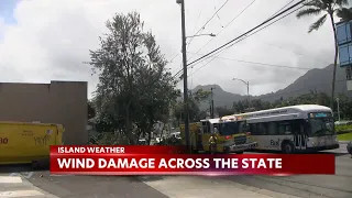 Hawaii Fire Department responds to 50 calls related to wind damage across the state