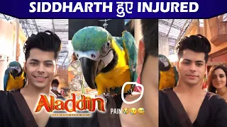 Aladdin Naam Toh Suna Hoga Season 3: Siddharth Nigam Gets Injured During Shoot