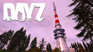 DayZ - I ARRIVE DURING A RAID (OFFICIAL SERVER)