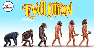 Evolution l Lecture 14 l Biology l NEET