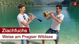 Schöne Weise am Pragser Wildsee - Ziachfuchs