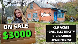 HOUSE FOR SALE in UKRAINE | CHEAP PROPERTY REVIEW