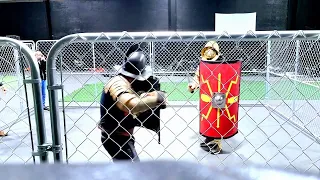 Gladiator HEMA Combat: Murmillo vs Thraex #Gladiator #Roman #hema