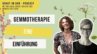 Gemmotherapie -  Wie die Knospen der Bäume heilen