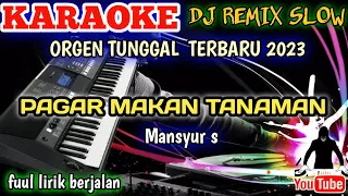 PAGAR MAKAN TANAMAN - Karaoke DJ Remix Dangdut Slow