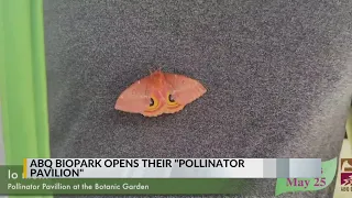 ABQ BioPark opens Pollinator Pavilion