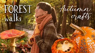 Embracing Autumn: Healing in Nature and Cozy Halloween Ideas 🍂 Fall Forest Escape | Cottagecore Vlog