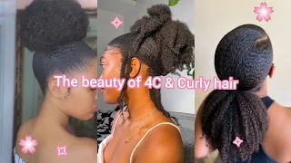 Fabulous 4C and Curly Hair: Hairstyles That Define Beauty and Confidence✨|Calm mind & body