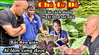 CHÚ TƯ DỄ chỉ cách dùng CỦ NGÃI ĐEN tại nhà mà ai cũng làm được một cách dễ dàng