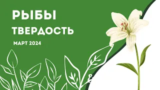 Рыбы! Твердость! Март 2024