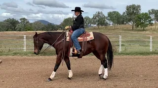 Ranch Riding Manoeuvres